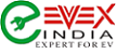 Evex Electric Rickshaw