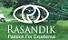 Rasandik Electric Rickshaw