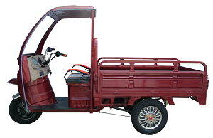 E Ashwa E Rickshaw Loader