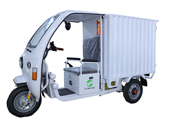 Green Shuttle Technology E Cart Closed Cargo Flying Fish