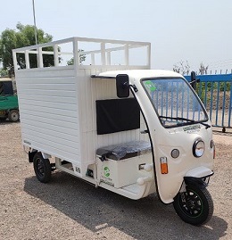 Green Shuttle Technology E Cart Jumbo
