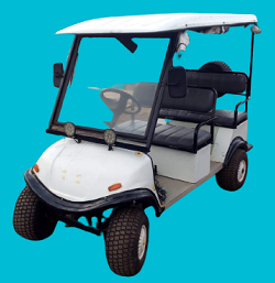 Green Shuttle Technology E Golf Cart