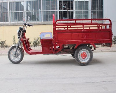 PIE Loader E Rickshaw