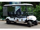Prevalence Cargo Utility Golf Cart