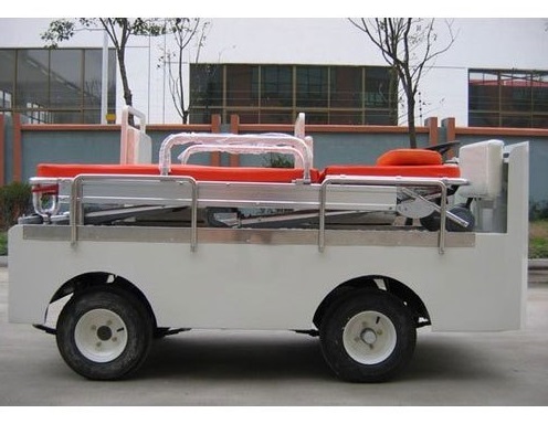 Prevalence Electric Cart