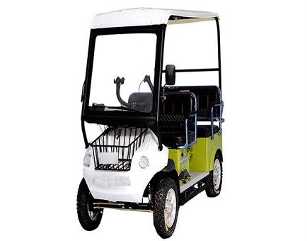 Rider Golf Cart