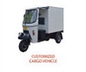 Tavas CUSTOMIZED CARGO VEHICLES