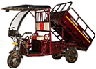 TTM Hawa Hawai E Cart Cargo