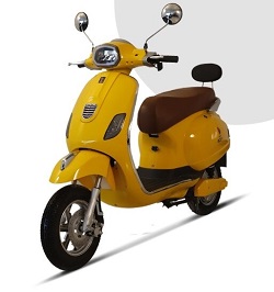 Warivo Ace Plus