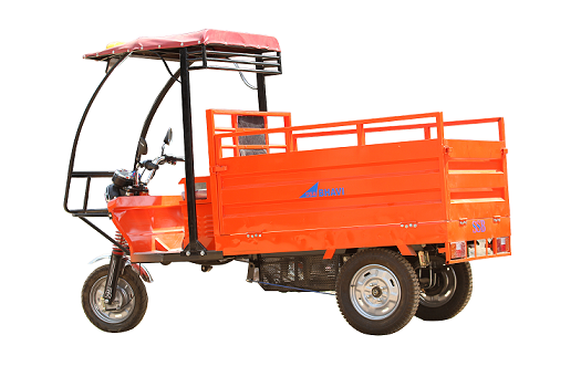 Bhavi E cart