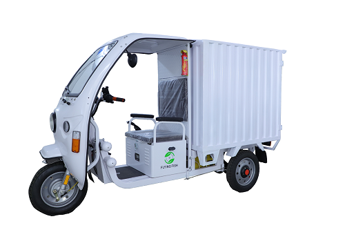 Green Shuttle Technology E Cart Closed Cargo Flying Fish