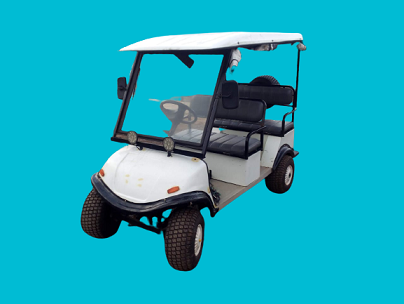 Green Shuttle Technology E Golf Cart
