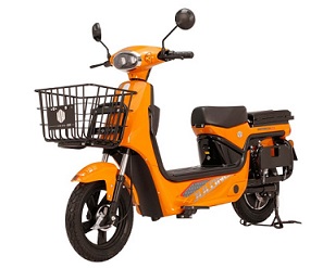 Green Shuttle Technology eHipo