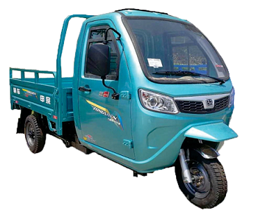 Omraj Suvidha L5 E Cart