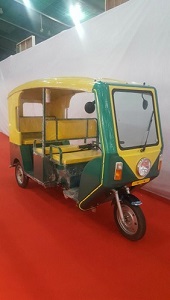 Queen Queen E Rickshaw Fiber Hood