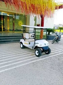 Shakti Auto Green Golf Cart