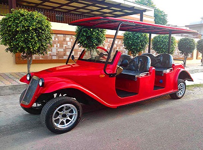 Speedways Royale 6 Seater Luxury Golf Cart
