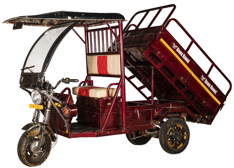 TTM Hawa Hawai E Cart Cargo